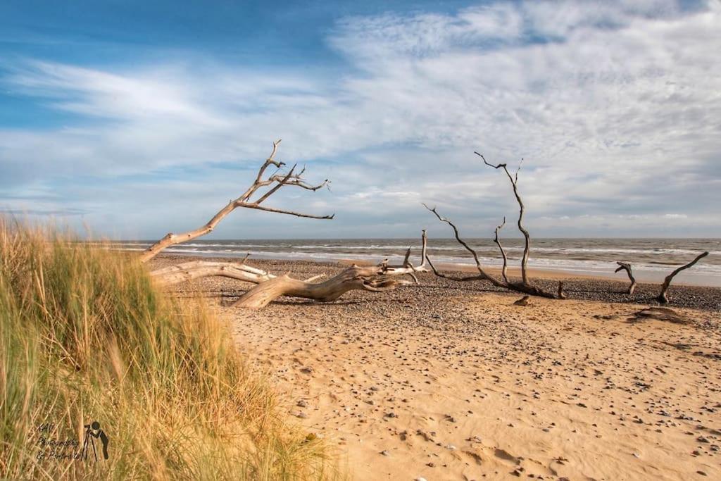 Covehithe House-Coastal Luxury- Sleeps 12-With Huge Swimspa! Wrentham Экстерьер фото